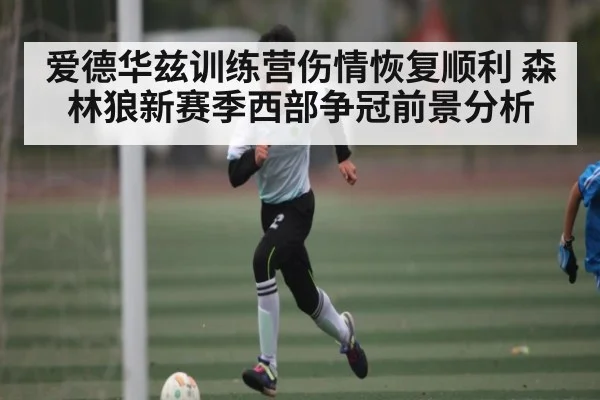 爱德华兹训练营伤情恢复顺利 森林狼新赛季西部争冠前景分析